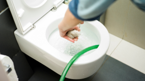 Water damage repair expert unclogging a toilet