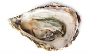 Oyster Shell Calcium Market