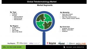 Teledermatology Market seg