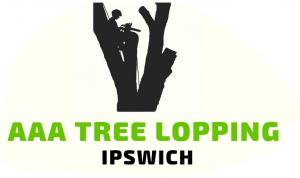 tree lopping ipswich