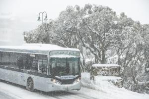 Orcoda technology optimises transport management for seasonal tourism