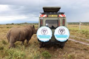 Black rhino gets very close to kenyaluxurysafaris.com 4*4 Landcruiser.
