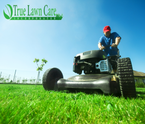 True Lawn Care Inc. 3