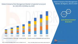 Global Enterprise Risk Management Market