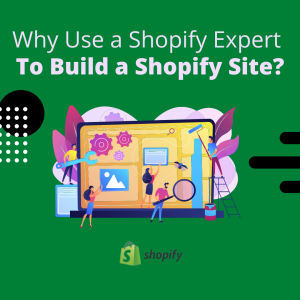 10 explanation why we use Shopify Professionals to Construct Shopify Web sites