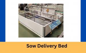 Sow Delivery Bed