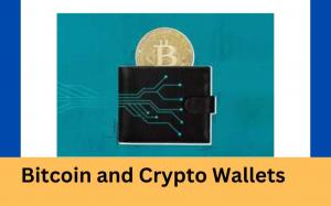 Bitcoin and cryopto wallet