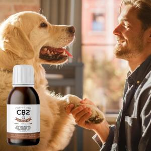 Cannanda CB2 oil - Dog-Ease Hemp Seed Oil bottle overlaid on image with a happy golden retriever sitting and shaking front paws with sun shining on owner with a smile on his face