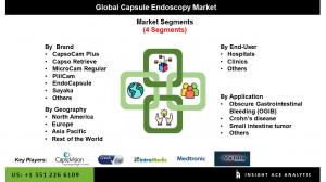 Capsule Endoscopy Market Segments
