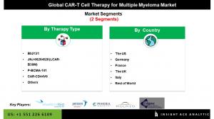 CAR T-Cell Therapy For Multiple Myeloma Market Segments