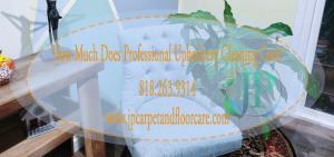 Upholstery cleaning costs