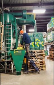 A man standing on a platform pouring balls from a RecycleBalls collection bin into a large green hopper that feeds into the green recycling machine