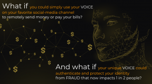 What if you could simply use your VOICE, to pay your bills