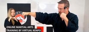 Virtual Kenpo Online Training