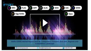 Audio CODEC Market Size