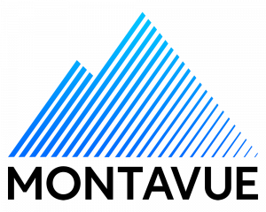 Montavue - Surveillance Systems