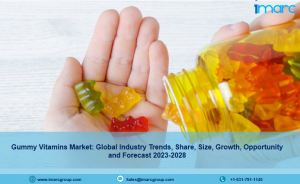 gummy vitamins market report 2023
