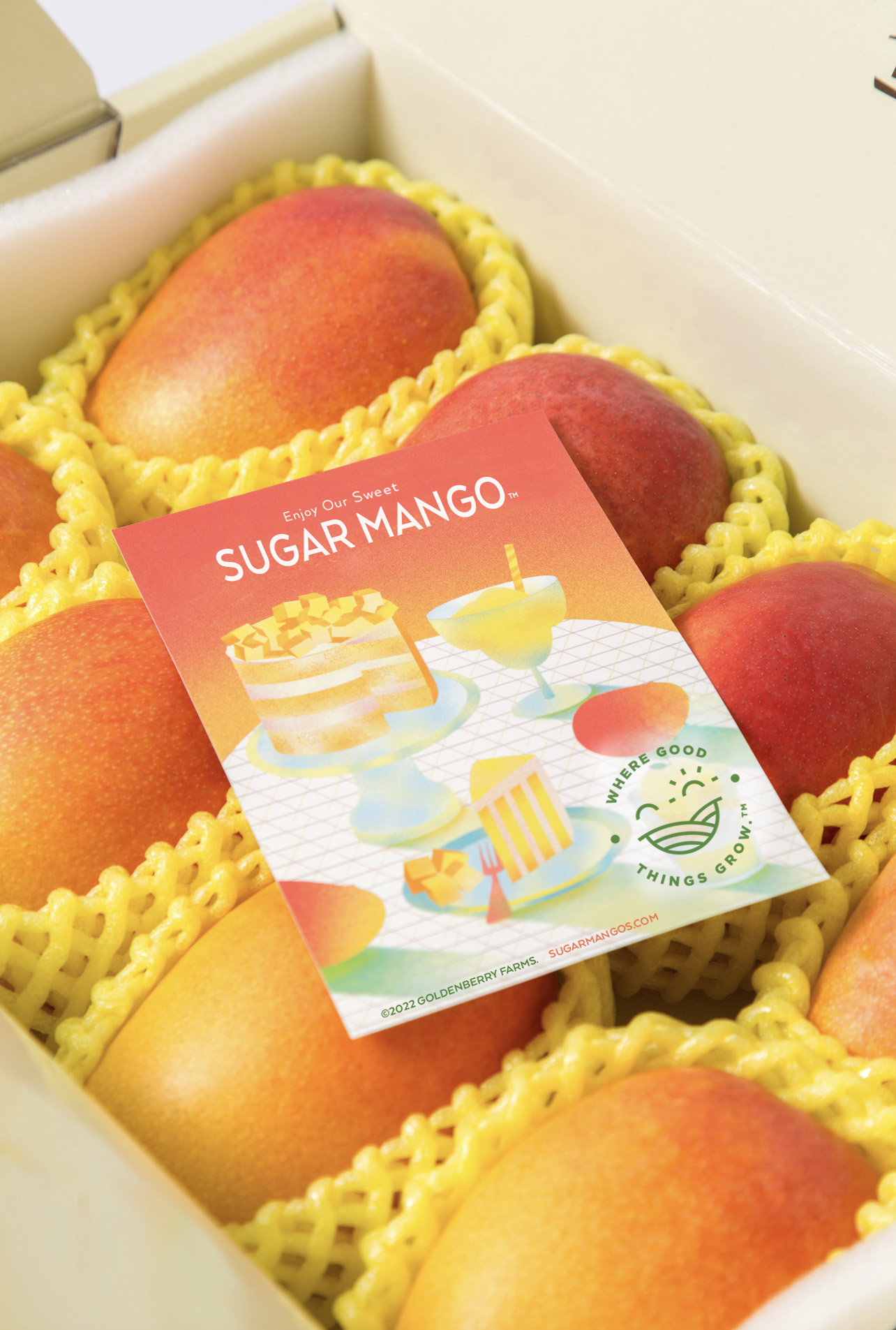 Sweet Sugar Mangos in special limited edition box