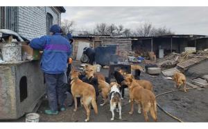Feeding Dogs in Ukraine
