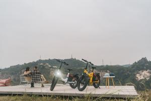 HIPEAK BONA & ELIAS FOLDING E-BIKES