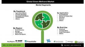 Green Methanol Seg Market