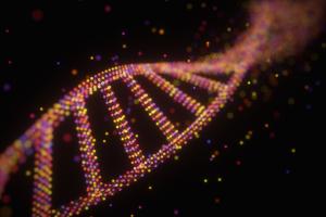 dna molecule structure