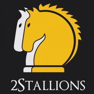 2Stallions Digital Marketing Agency Logo