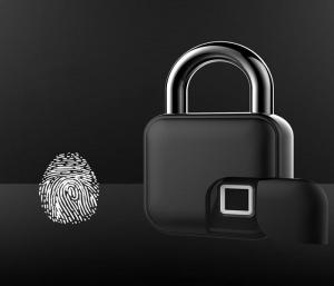 Global Intelligent Electronic locks market