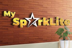 MySparkLite LLC