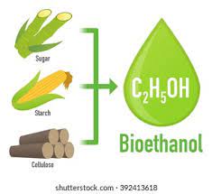 Bioethanol Market PMI