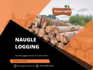 Trusted Logging Services in Ohio