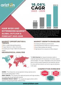 Hair Wigs and Extensions Market