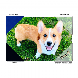 This image contains a demonstration of StoreSMART's Black, Royal Blue and Crystal Clear magnetic corners on a photograph of a Corgi Dog. A dog bone sticker has been added to one of the crystal clear magnetic corners.