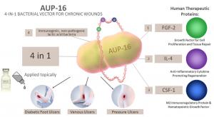 AUP-16 multi-target cell & gene therapy for Chronic Wounds