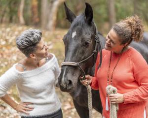 Be Horse Powered for Personal and Business Growth