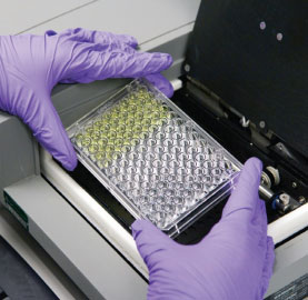 Endotoxin Testing Market - PMI