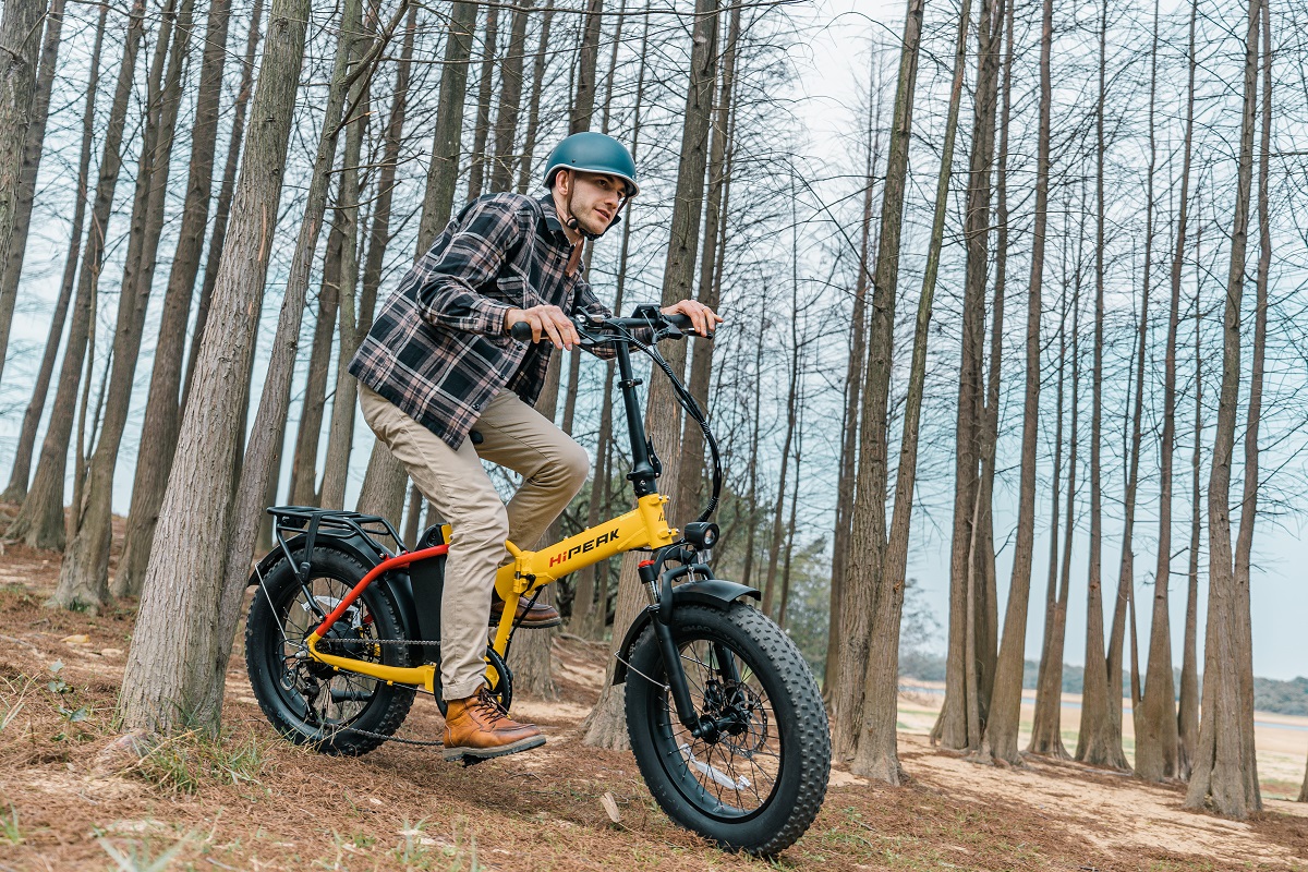 Electric bike with wide tires hot sale