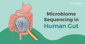 Microbiome Sequencing Market - AMR