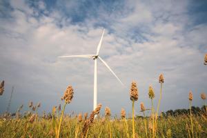 Large Wind Turbine Market