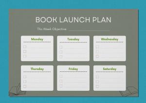 Book launch plan