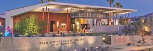Proceeds from Pride Under The Pines benefit the Palm Springs Animal Shelter