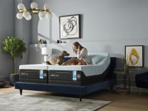 Tempur-Pedic Breeze Split King with woman and dog