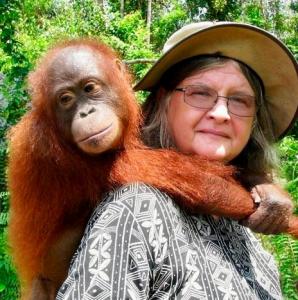 #CriticallyEndangered #orangutan #Borneo # primatologist