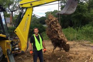 Complete Stump Removal in Ann Arbor MI