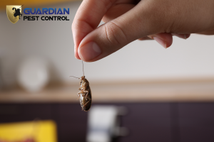 Guardian Pest Control 34
