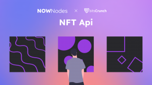 NFT metadata API bitsCrunch x NOWNodes