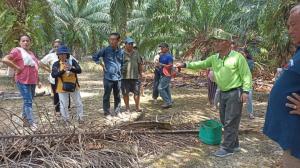 Indigenous Dayak palm oil farmers with Napolean Ningkos, President of Dayak Oil Palm Planters Association in a training session on making palm oil sustainable for the European market