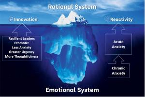 Emotional Systems