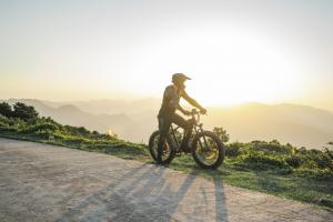 DYU King 750 electric bike
