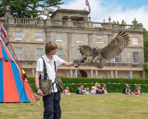 Youngsters were introduced to falconry.